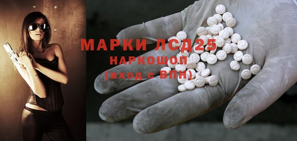 прущие грибы Абаза