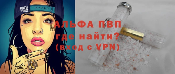 прущие грибы Абаза