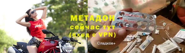 прущие грибы Абаза