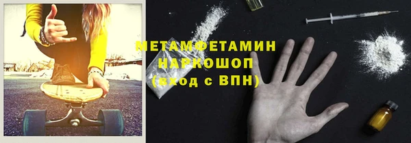 прущие грибы Абаза