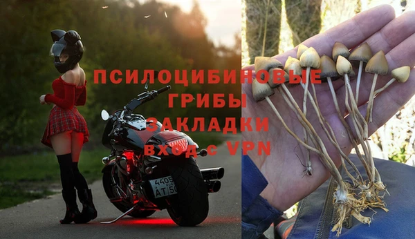 хмурый Алзамай