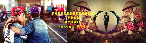 спиды Алексин