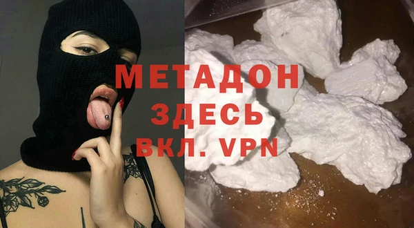 прущие грибы Абаза
