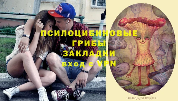 прущие грибы Абаза